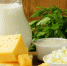 Внимание! С 1 ноября 2019 года вся молочная продукция будет включена в ИС «Меркурий» - Буйнакский район