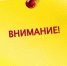 Сообщение о возможном установлении публичного сервитута - Буйнакский район