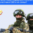 Государство оказывает всестороннюю поддержку участникам СВО и их семьям. - Буйнакский районный суд